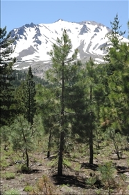 Lassen Volcanic NP